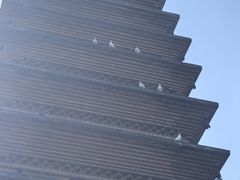 -洛阳白马寺