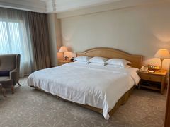 -南京维景国际大酒店(南京博物院店)