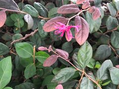 -中国移动(高升桥营业厅)