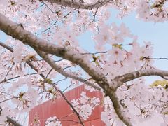 -龙美术馆(西岸馆)
