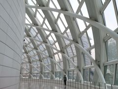 -凤凰中心