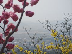 -红螺寺