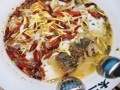 -太二酸菜鱼(沈阳万象城店)