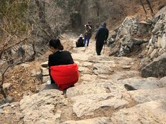 -北京鹫峰国家森林公园