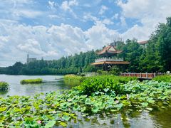 -东山湖公园