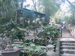 景点-老木棉·匠园