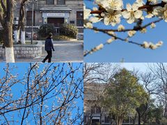-山东大学(趵突泉校区)