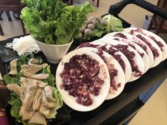 -陈记顺和潮汕牛肉火锅(韩江路店)