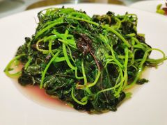 时令蔬菜-梦都海鲜酒家(万达广场江桥店)