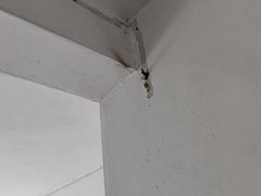 -辽宁省人民医院