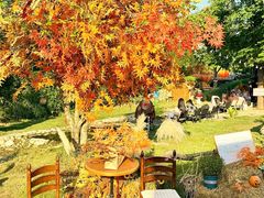 -HERRE·FARM 赫尔露营农场·团建聚会包场