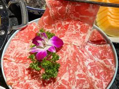 -蓉城老院十年老火锅(中南店)