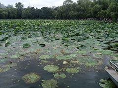 -长春市南湖公园