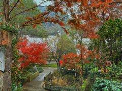 -绍兴鲁迅故里·沈园景区