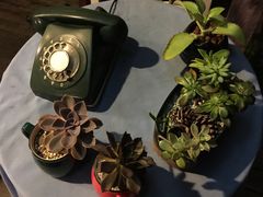 -17号蓝滩咖啡馆(武夷山店)