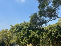 -飞凤山奥体公园