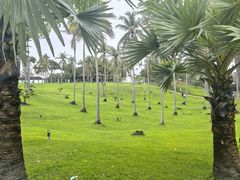 -班拉雅潜水度假村