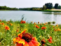 -东郊湿地公园