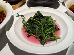 -许家菜(DT51店)