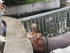 -西安秦岭野生动物园