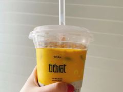 -加减茶饮(高沙店)