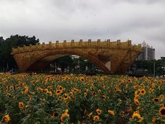 -海心沙亚运公园