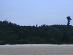 -滴水丹屏