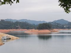 -广州市流溪河国家森林公园