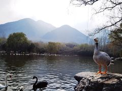 -西安秦岭野生动物园