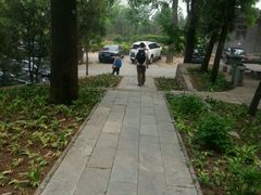 -北京鹫峰国家森林公园