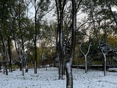 -玲珑塔公园