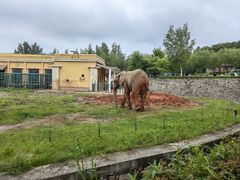 -哈尔滨北方森林动物园