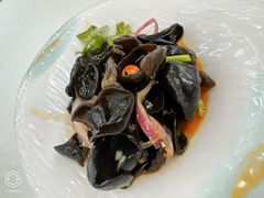 凉拌木耳-渔意楼·驰名沙田乳鸽(五羊店)