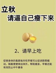 -Fundi张玉珊修身堂·indiba·BTL科技瘦身