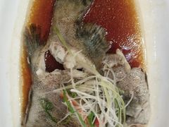 -双子楼大酒店(城开国际写字楼店)