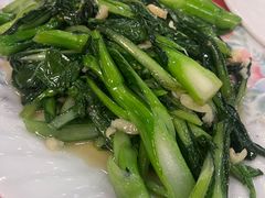 -揭东万竹园旅游景区