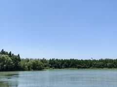 -溱湖国家湿地公园