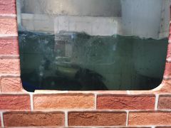 -鱼醉无骨鱼·中山脆肉鲩(荔湾路店)