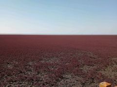 -红海滩国家风景廊道