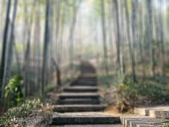 -南山风景名胜区