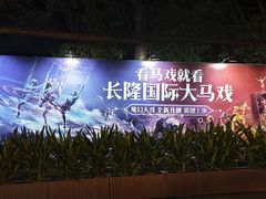 -广州长隆国际大马戏