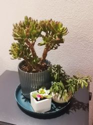 -养笙记·艾灸美容养生·轻养生活馆