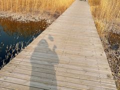 -野鸭湖国家湿地公园