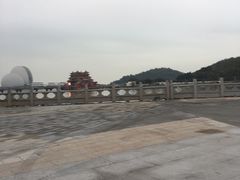 -野狸岛