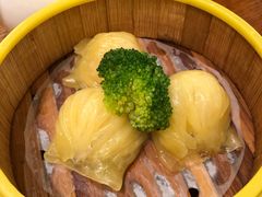-潮福汇