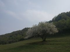 -大水川景区