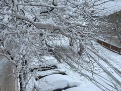 -世界之窗阿尔卑斯冰雪世界