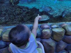 -华夏文旅海洋公园