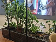 -THE WOODS 简餐 (国贸商城店)