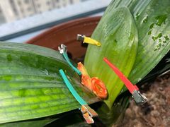 -双喜饭庄(马道坡街店)